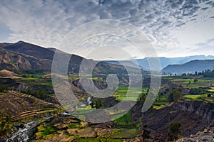 View into the Colca Canyon with his rice terrace in Peru