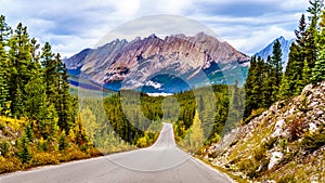 View of the Colin Range in Jasper National Park, Alberta, Canada photo