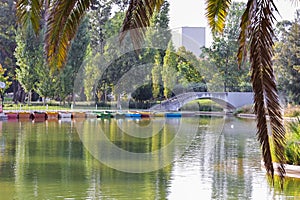 View of colorful docked boats on the lake of Jardim Mario Soares park