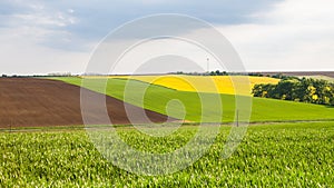 View of colorful fields