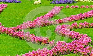 view of colorful flowers at the mirabell palace garden in Salzburg, Austria....IMAGE