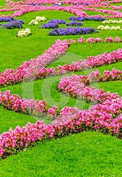 view of colorful flowers at the mirabell palace garden in Salzburg, Austria....IMAGE
