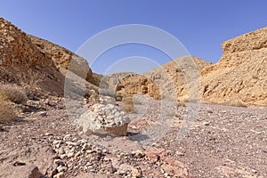 View of the colorful mountains and valley of Eilat Red Canyon against the blue sky