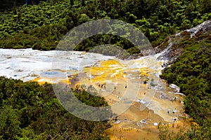 View on colorful rainbow sinter terrace covered with yellow and white microbial mats