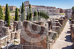 View of the Colosseum