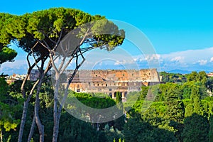 View of the Colosseum Coliseo from Roman Forum in Rome, Italy. photo