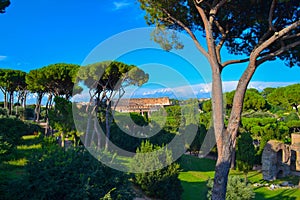 View of the Colosseum Coliseo from Roman Forum in Rome, Italy. photo