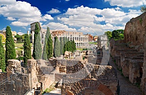 View of the Colosseum from the Palatine Hill, Rome