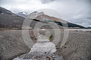 View of the Columbia Icefields in Jasper National Park