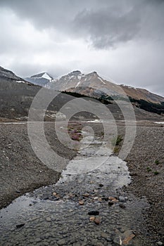 View of the Columbia Icefields in Jasper National Park