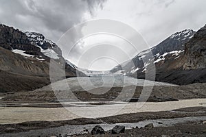 View of the Columbia Icefields in Jasper National Park