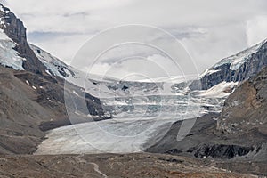 View of the Columbia Icefields in Jasper National Park