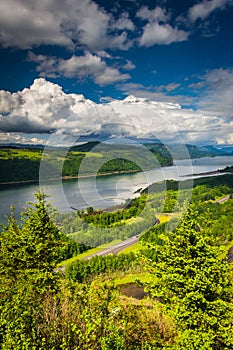 View of the Columbia River from the Vista House