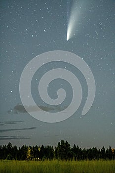 View of comet neowise in the night sky