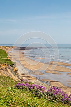 A View of Compton Bay