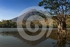 View of the Concepcion Volcano and its reflection on the water in the Ometepe Island, Nicaragua