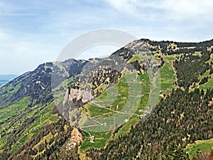 A view of the coniferous forests and pastures on the slopes of Rigi mountain