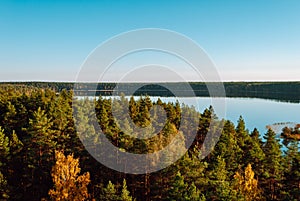 View of the coniferous treetops and Lake Baltieji Lakajai in Labanoras Regional Park, Lithuania. photo