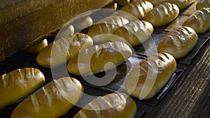 View of conveyor with trays with freshly baked wheat loaves in a bread factory