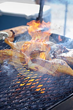 pollo asado among flames photo