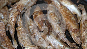 View of cooking frying capelin fish in iron pan. Grilled caplin fish - nutritious Korean dish can be enjoyed as an