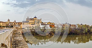View of Cordoba with Mosque Cathedral, Spain