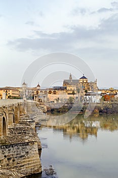 View of Cordoba with Mosque Cathedral, Spain