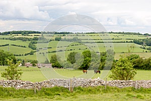 View of the Cotswolds from Cleeve Hill near Cheltenham. photo