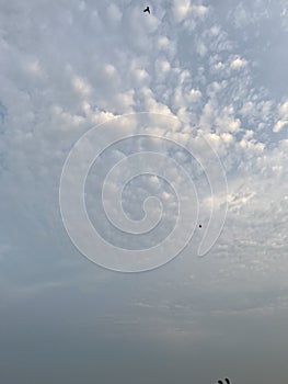 Birds flying in the view of cotton clouds