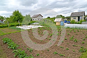 View of the country plot with garden and household buildings. Spring