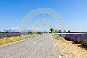 view of country road