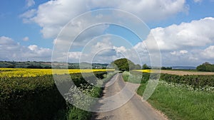 View on country road and fields in England. photo