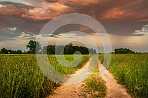 View from the country road to green fields and colorful clouds