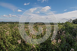 View of the countryside around Cranbrook in Kent photo