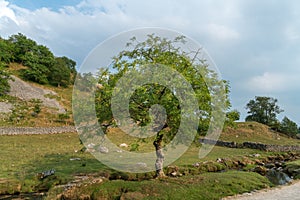 View of the countryside around Malham Cove in the Yorkshire Dale