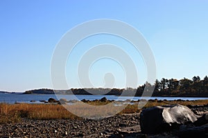 View from Cousins Island