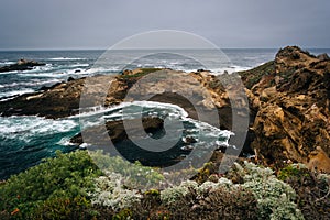 View of a cove at Point Lobos State Natural Reserve, in Carmel,