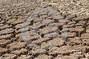 View of a cracked, parched land