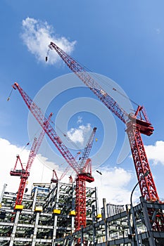 View of cranes above steel structure for building construction.