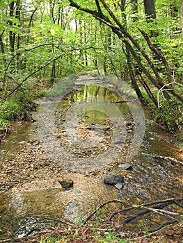 View of a creek on the Appalachian Trail in southern Pennsylvania