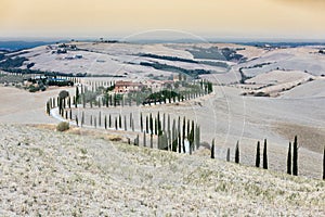 View of a Crete Senesi with beautiful trees among the desert in Toscana, Italy