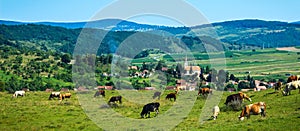 Pastural Landscape of Romania photo