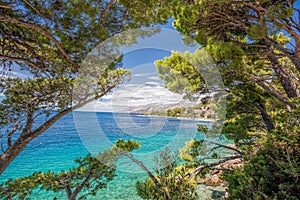 View of Croatian coast with pine trees in Brela, Makarska, Dalmatia, Croatia