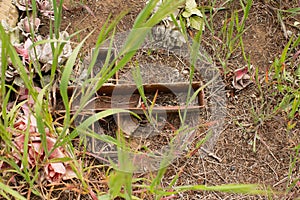 View of a cross lying on the ground of a grave in an old rural cemetery