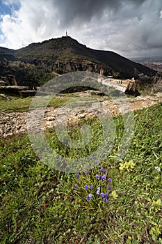 View of Cuenca, Spain photo