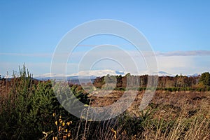 View of Culloden Moor