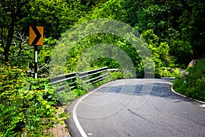 View of curvy Ghat road along the mountain range of Eastern Ghats leading to Yercaud, Tamil Nadu, India. Yercaud is famous hill