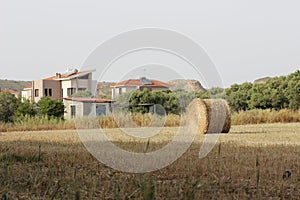 View of Cyprus.