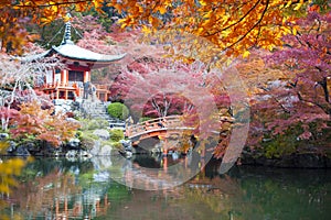 view of Daigo-Ji temple with colorful maple trees in autumn, Kyoto, Japan