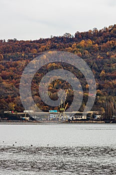 View of Danube river and Orsova city vegetation and buildings, waterfront view. Orsova, Romania, 2021